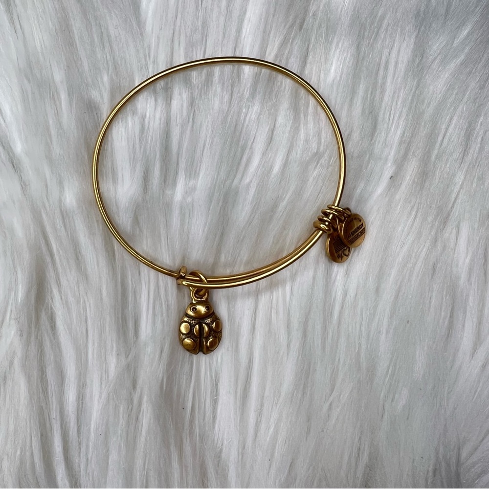 Alex and Ani Rafaelian Gold Ladybug Charm Bangle Bracelet